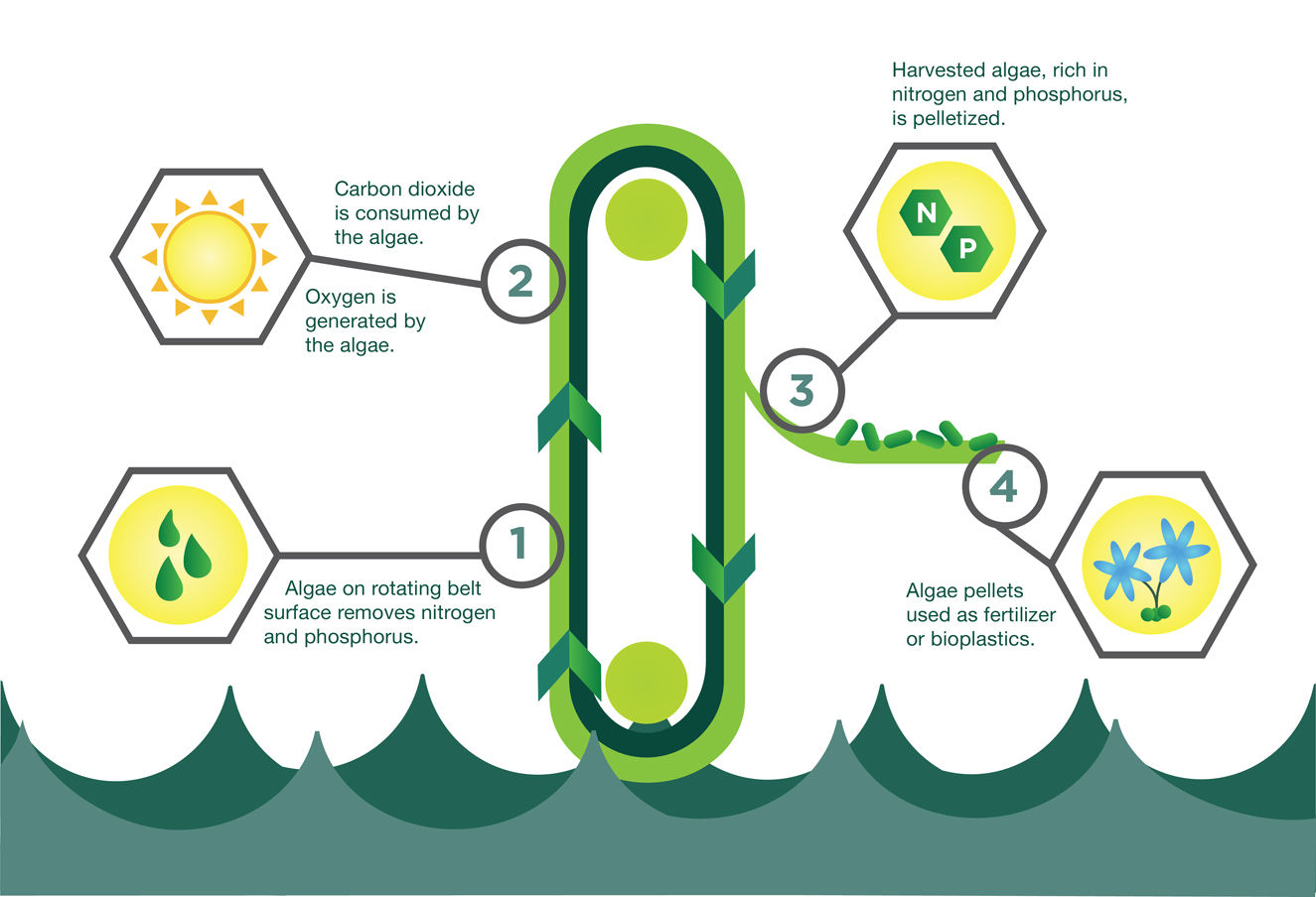 Gross-Wen infograph